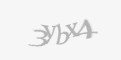 Защитный код